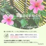 Stellafit 8月営業日のお知らせ